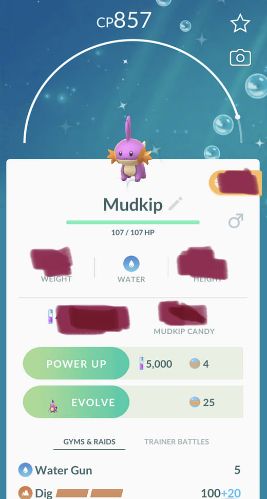 Shiny Mudkip Trading Pogo Trading Shiny Mudkip Trading Pogo Trading